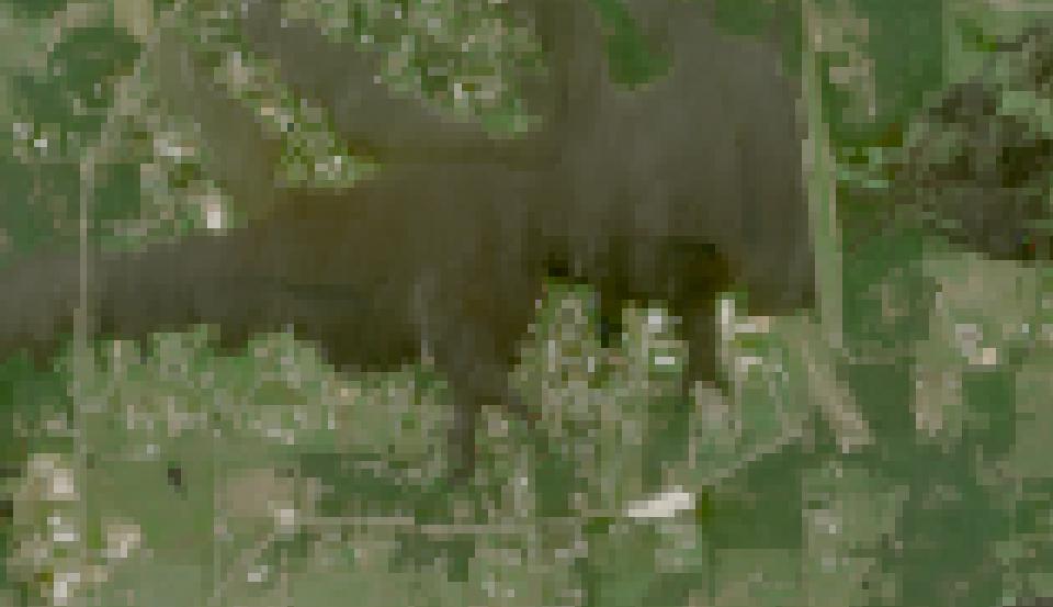 Lake Bonham from space, highest since 2016, Jun 29, 2026